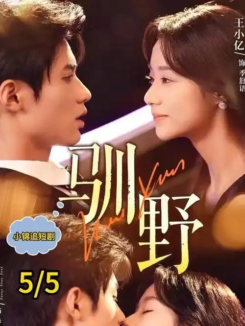 暗夜追凶 预告片封面